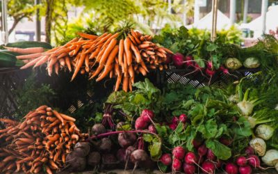 A importância dos vegetais em nossa rotina