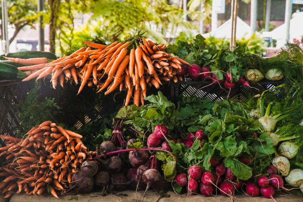 Importance of Vegetables in Our Daily Life