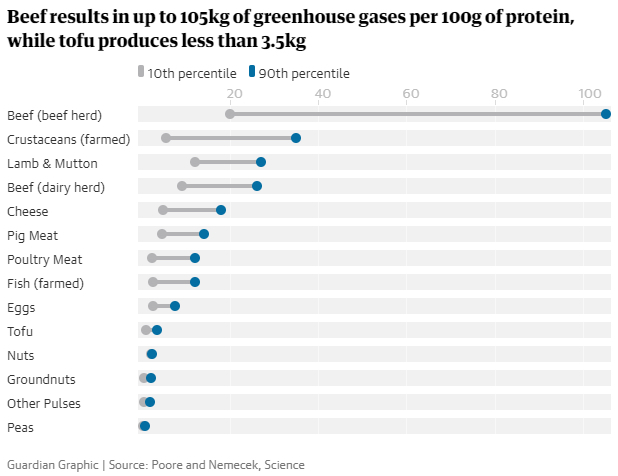 Beef X Tofu On Greenhouse Gases Emission