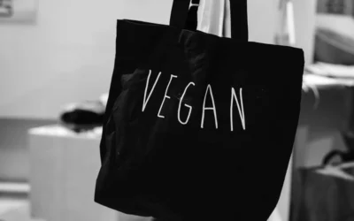 Vegan Fashion Brands