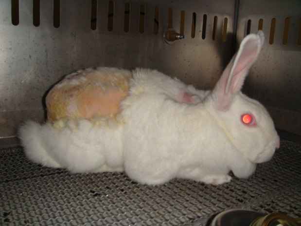 The cumulative skin irritation test