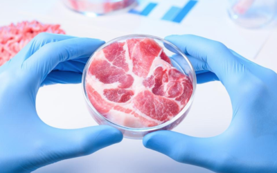 Would Vegans Eat Lab-Grown Meat?