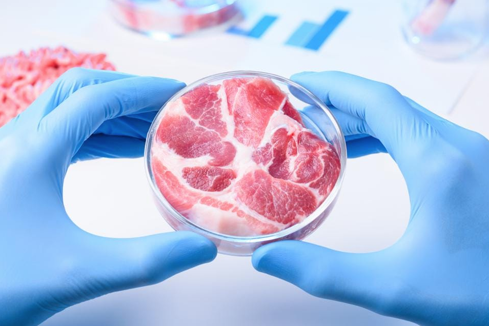 Would Vegans Eat Lab-Grown Meat?