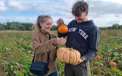 From VegMatch to Vanlife: Alex and Katie’s Love Story #OurVegMatch