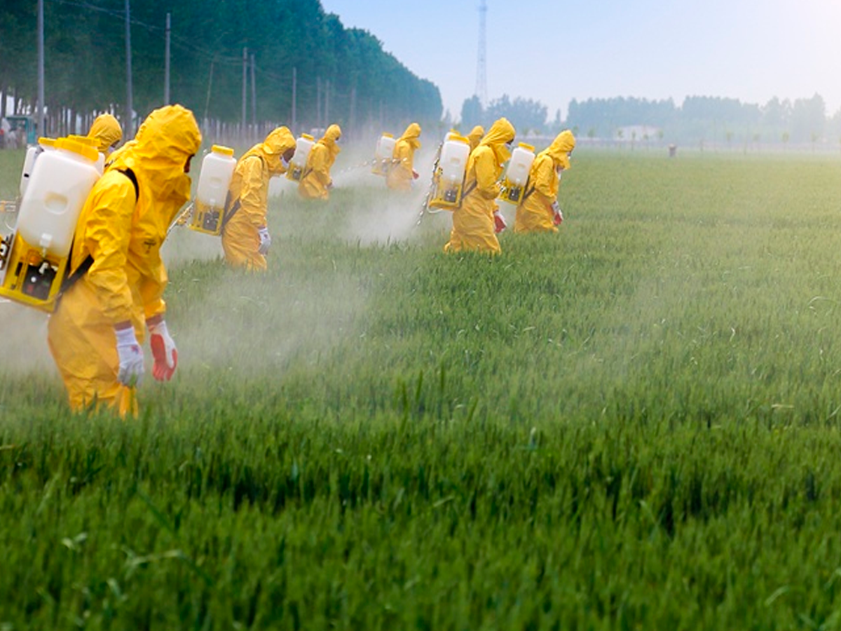 pesticide and environmental pollution affect Earth's natural resources