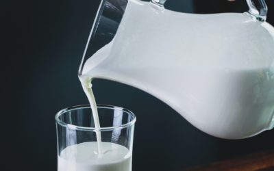 #VeganFacts: Vegans’ Top Plant Milk Choices