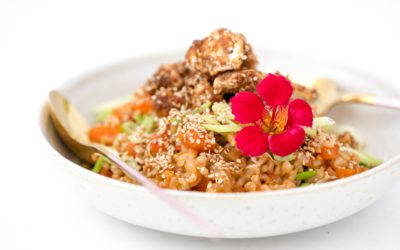 Southern Style Vegan Fried Chicken