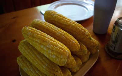 Vegan Corn Ribs Recipe