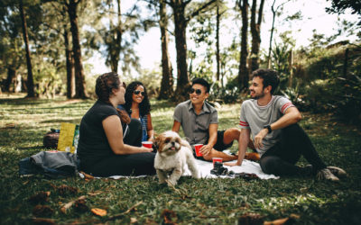 How Can I Make Vegan Friends?